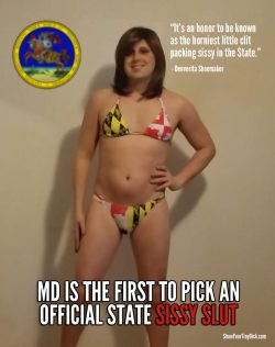 The First Ever Official State Sissy Slut