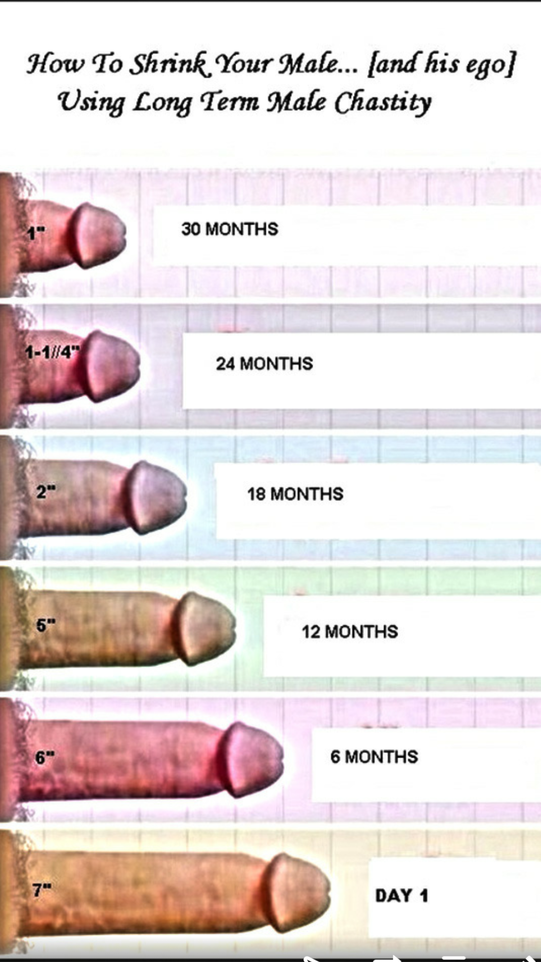 This chart shows the effects that chastity has on the male member I’m at 18...