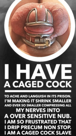 (Repin) I have a caged cock. All my Mistresses agree – the smaller the better.