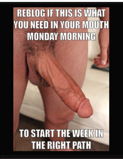 Monday morning Sissy