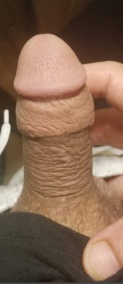 James worthless tiny little beta clitty in lutz Florida