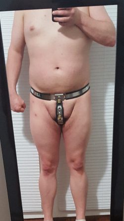 Full belt