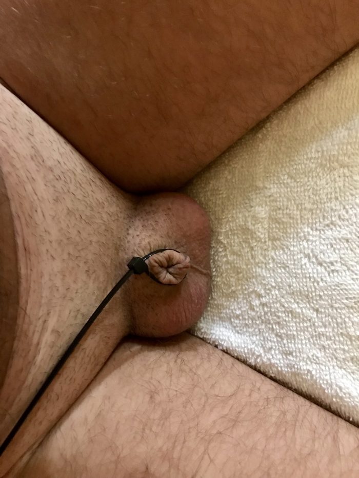 Zip tied little dick
