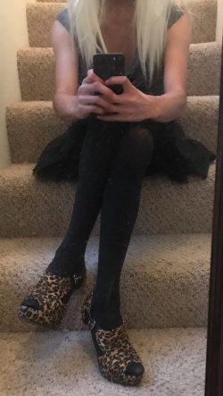 Sissy looking to be exposed