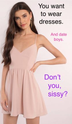Wear dresses & date boys like a sissy