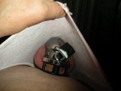 Panties, shaved and Caged! Is the way every sissy should be?