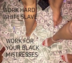 Work hard white slaves
