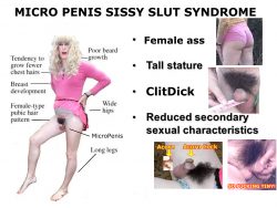 MicroPenis Syndrome! This Femboy slut shows her tiny baby dick for and hairy pussy for a microdi ...