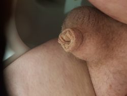 Just showing off my tiny pecker