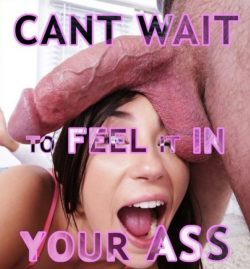 Sissies just can’t wait to feel big cock