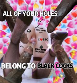 All Your Holes