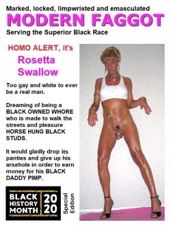 Black History Month Special Edition featuring rosetta swallow