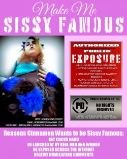 Sissy Famous…What All Sissies Deserve.