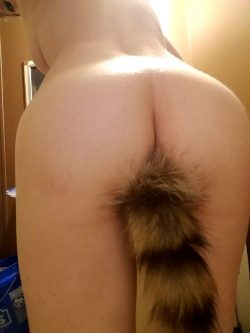 Kitty slut