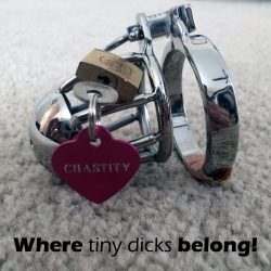 The place where tiny dicks belong