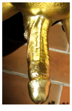 Golden Boy