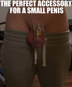 The perfect accessory for your small penis