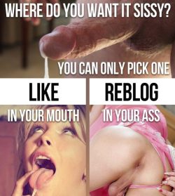 Sissy choices