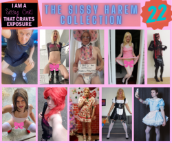 marktheWeakling The SISSY HAREM COLLECTION