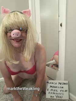 marktheWeakling PIGGY BEGS TO BE EXPLOITED