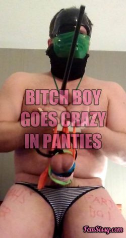 Sissy dick goes crazy in panties