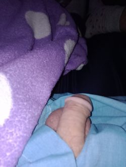 My early morning cock