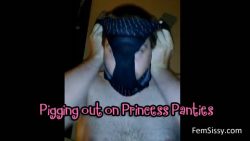 Pig going crazy sniffing panties