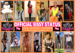 Sissy Harem Collection 5