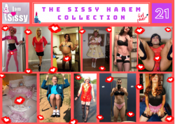 Sissy Harem Collection 21