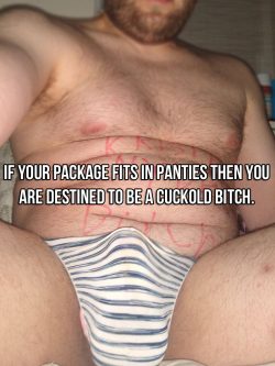 If your package fits in panties then you are destined to be a cuckold