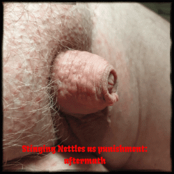 Stinging Nettles as Punishment: aftermath