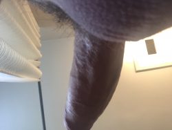 POV: what you see when you suck my dick