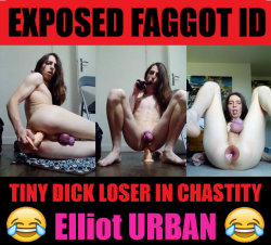 caged sissy faggot loser: Spread and Share