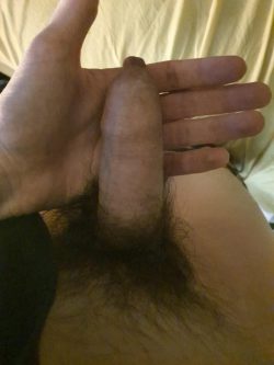 My little cock, please rate me honestly and be brutal