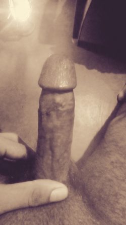 Medium Asian black cock