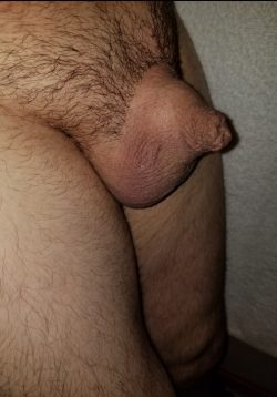 Pubic hair all trimmed up