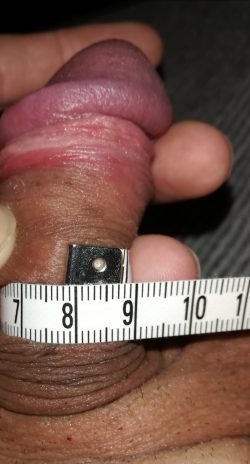 Measuring my limp penis