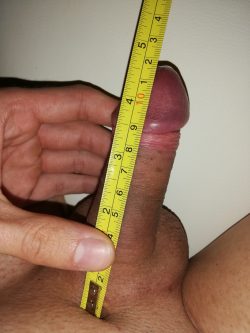My fully erect length: 4.7in