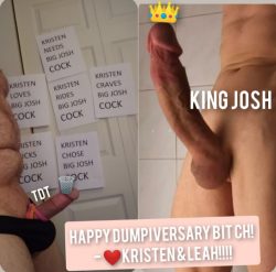 TDT vs King Josh – The Cock Comparison
