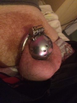 Tiny locked married cock