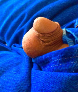 My embarrassing cock