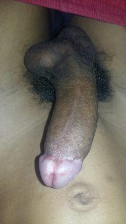 Rate My Dick – 1 to 10