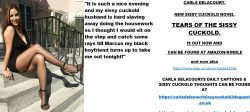 Thoughts of a loving cuckoldress wife
