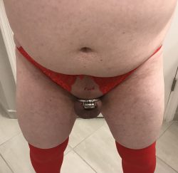 A cuck in his little red crotchless panties. Such a sissy!