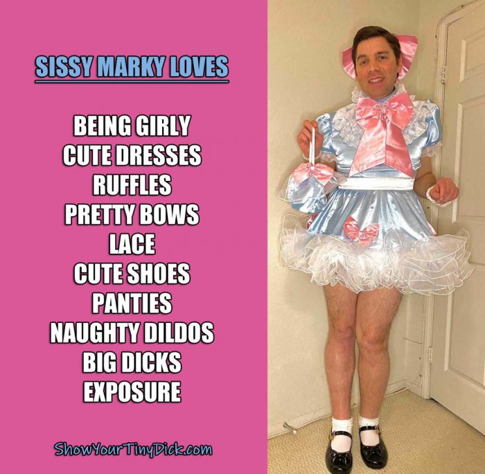 I ACCEPT my new life and role as a SISSY FAIRY FAGGOT SLAVE