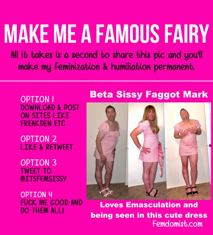 I ACCEPT my new life and role as a SISSY FAIRY FAGGOT SLAVE