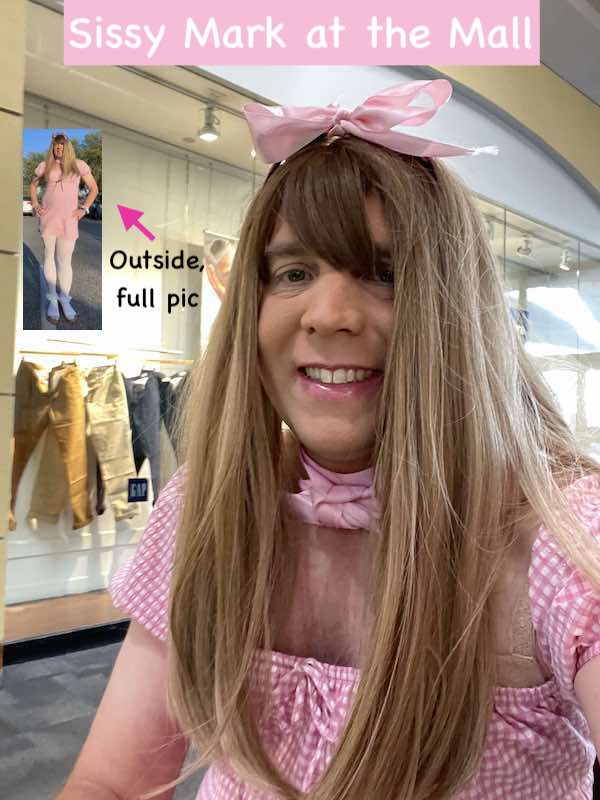 I ACCEPT my new life and role as a SISSY FAIRY FAGGOT SLAVE