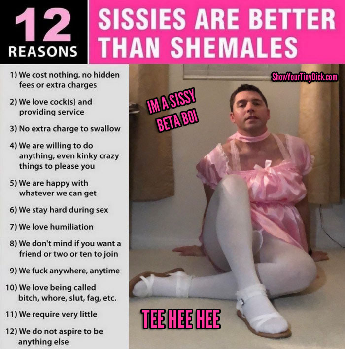I ACCEPT my new life and role as a SISSY FAIRY FAGGOT SLAVE