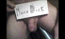 Tiny cock