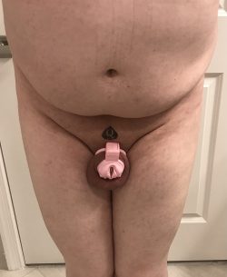 Stage 5 of cuckhood: cucky stripped naked. No no, honey, those clothes were for men. Let’s find  ...